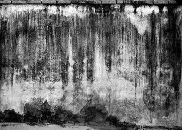 治愈系休闲放置类游戏《幻想鱼箱》现已在Steam新品节推出试玩Demo